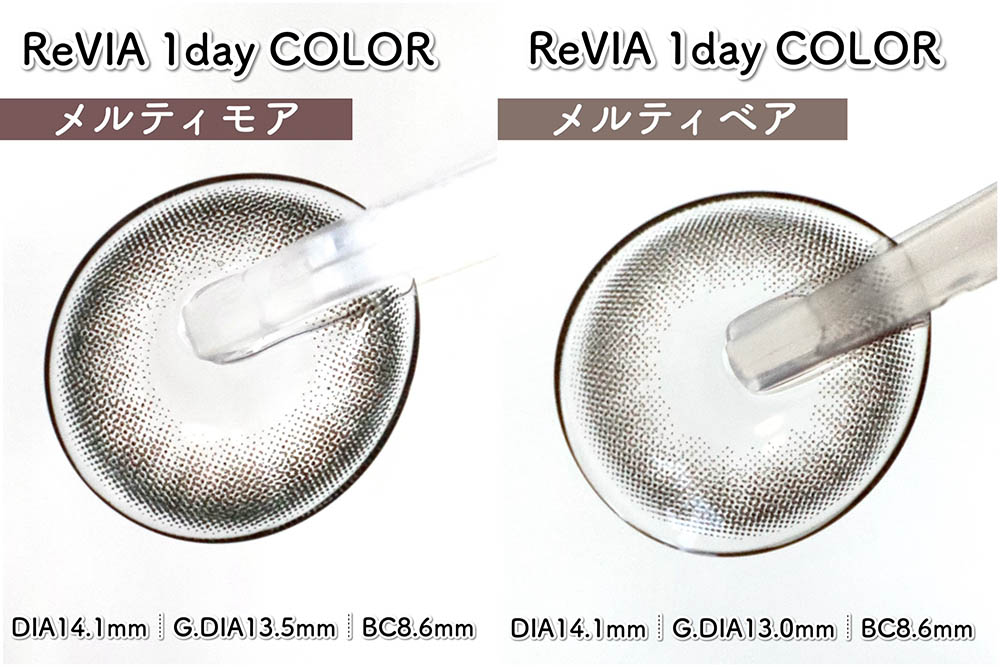 人気No.1メルティベアと新色メルティモアを比較