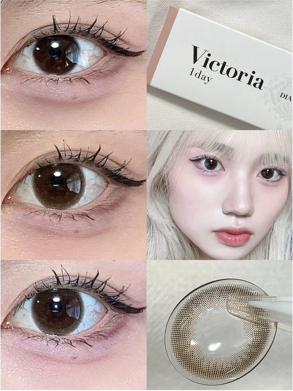 FABULOUS 1month Victoria 1day ピュアトレンチ