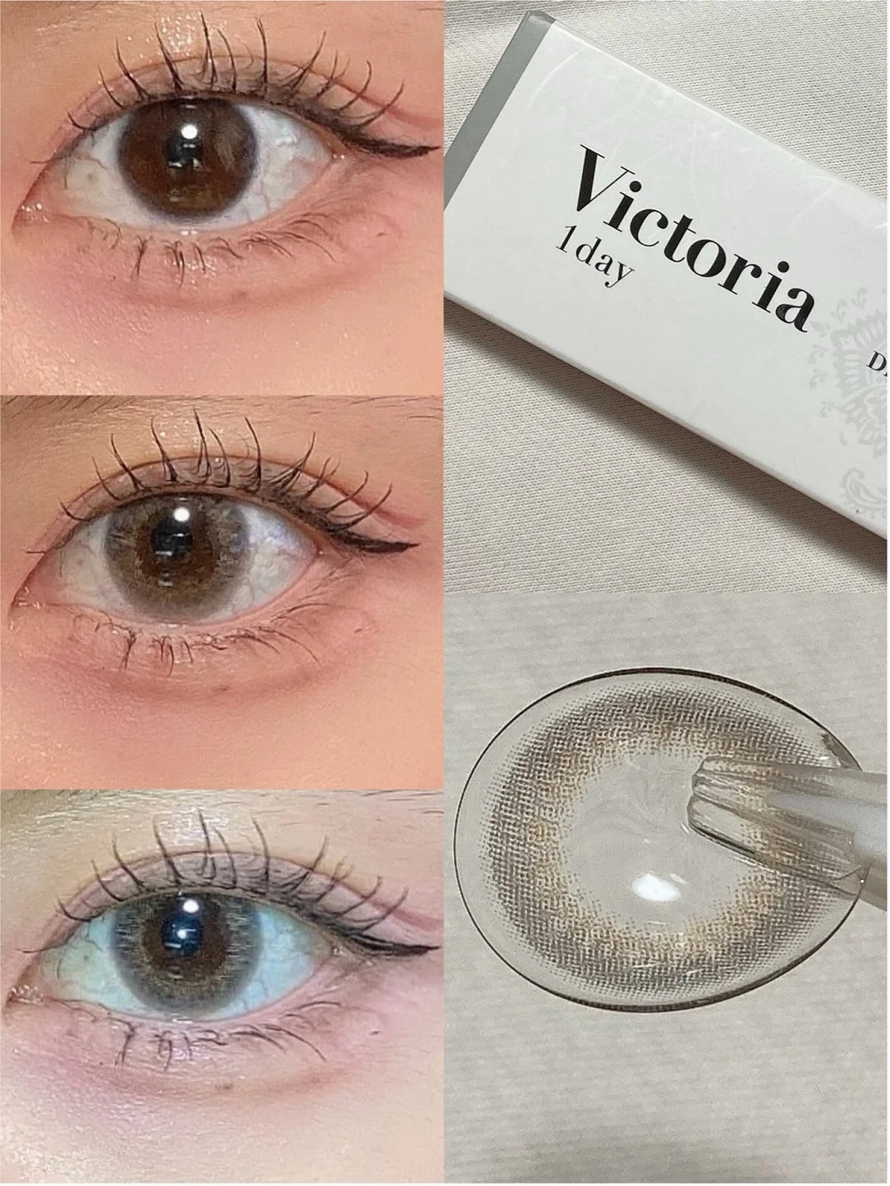 FABULOUS 1month Victoria 1day ダスティグレー